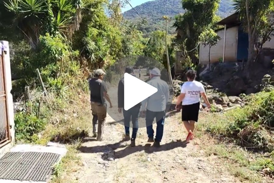Ver video
