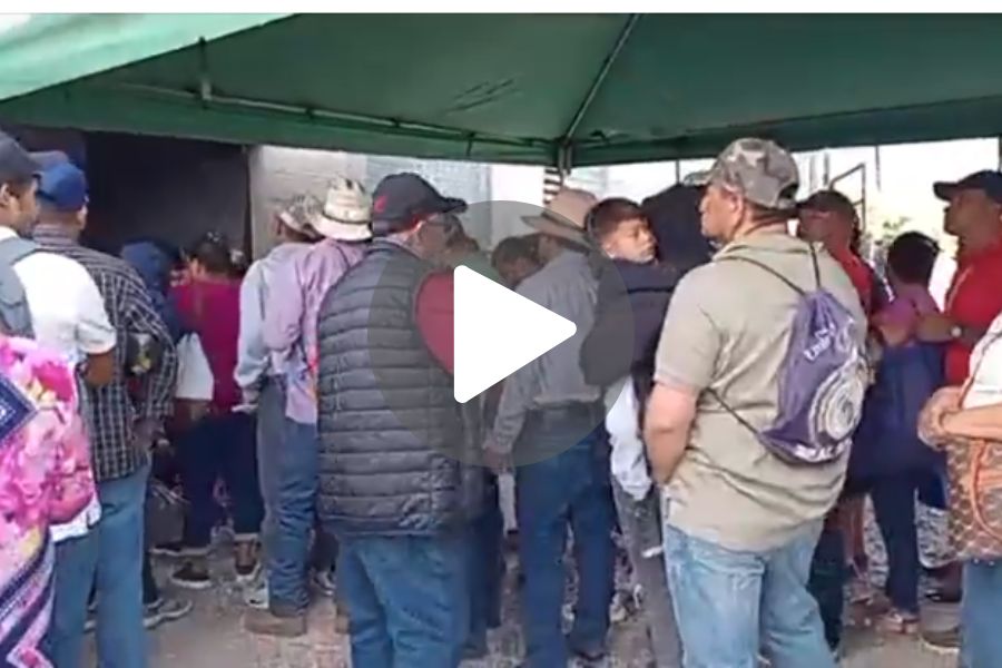 Ver video