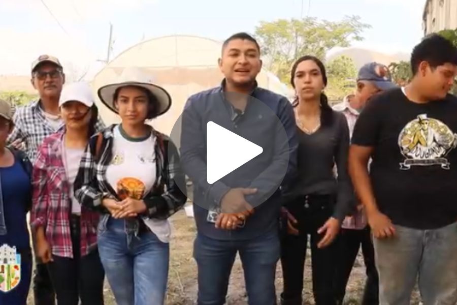 Ver video