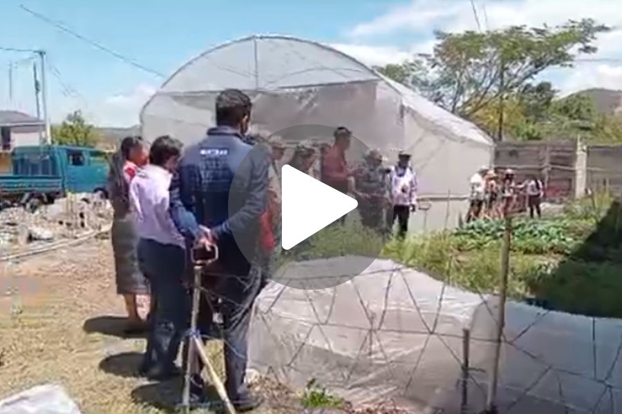 Ver video