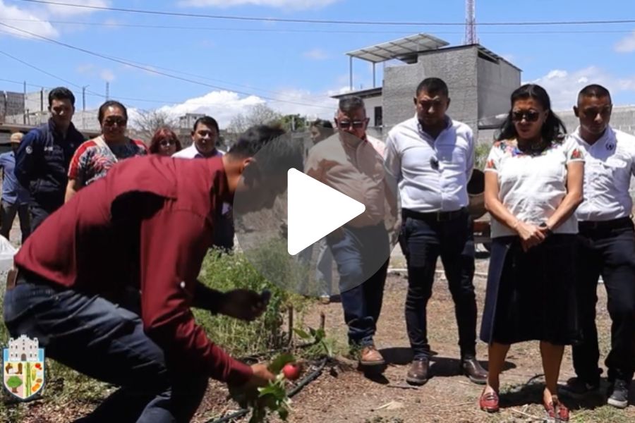 Ver video