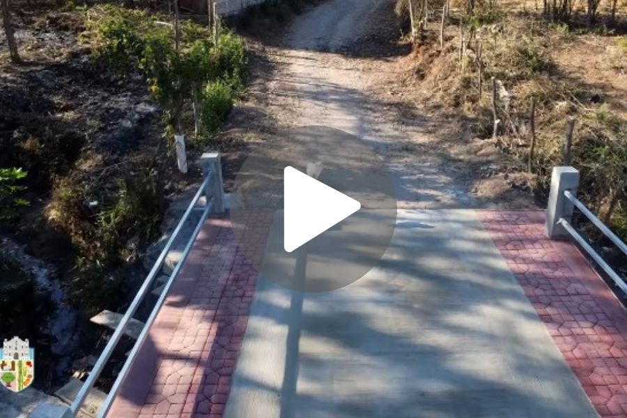 Ver video