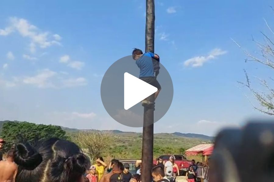 Ver video