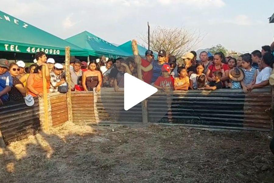 Ver video