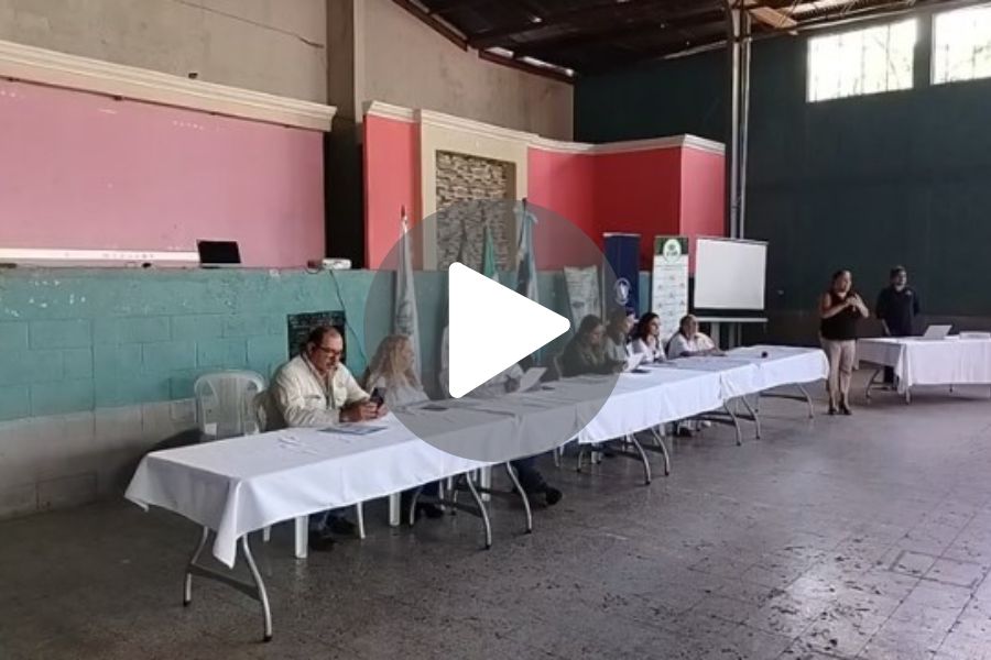 Ver video