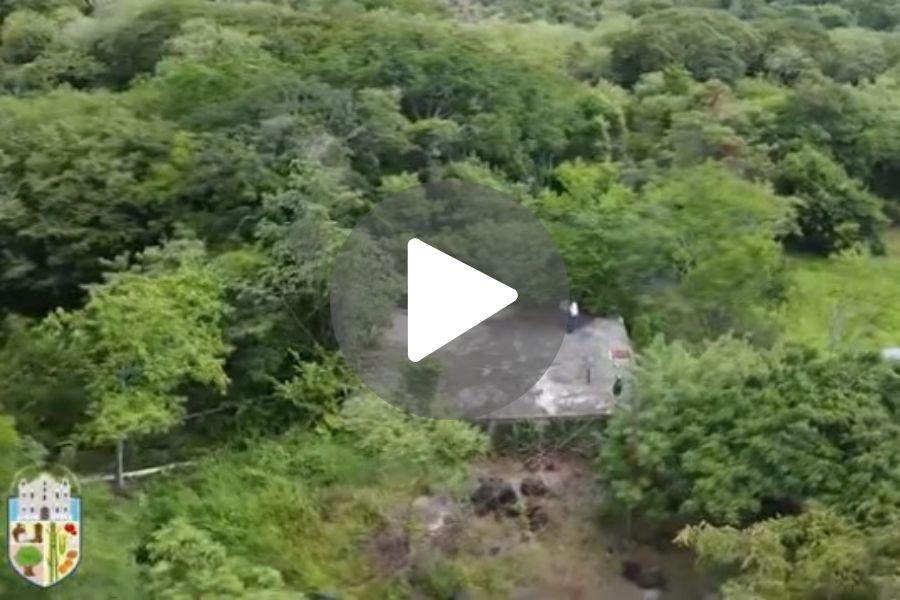 Ver video