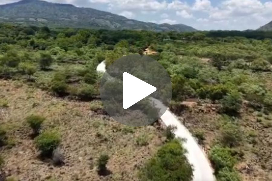 Ver video
