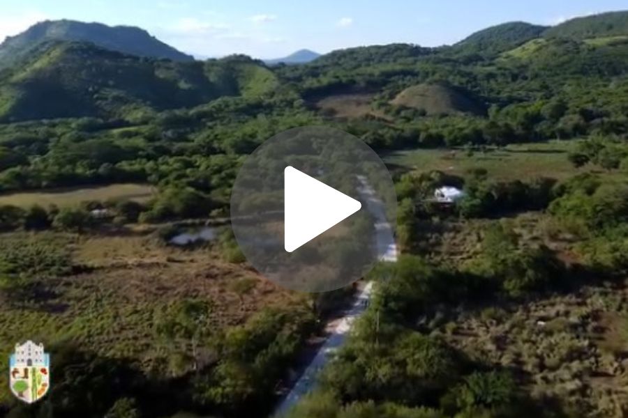 Ver video
