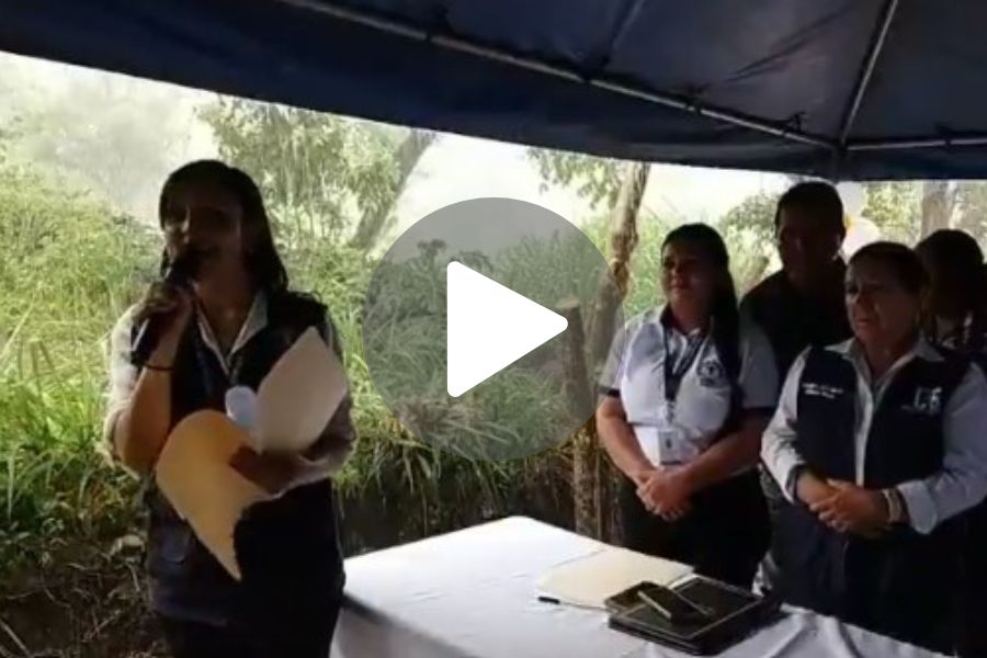 Ver video