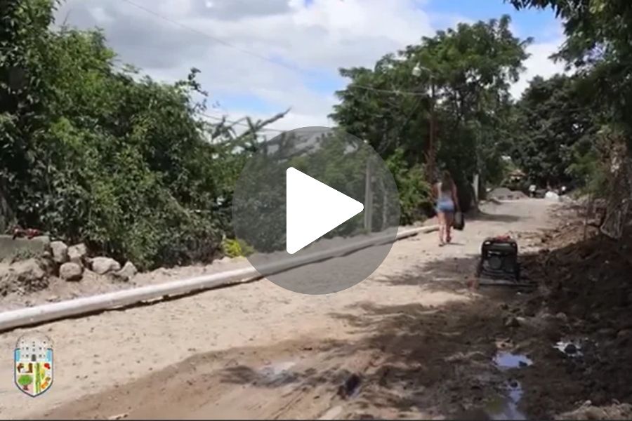 Ver video